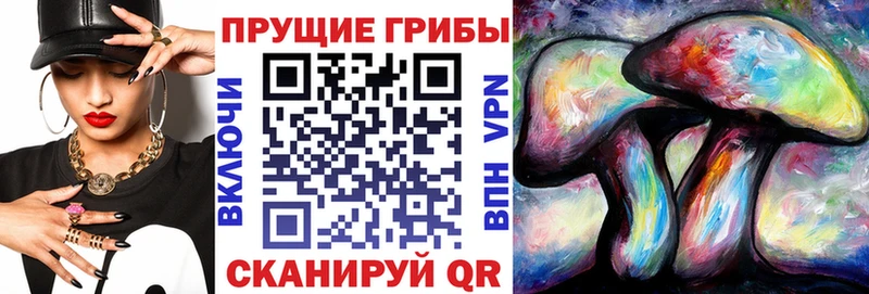 Галлюциногенные грибы мухоморы  где найти   кракен tor  Жердевка 